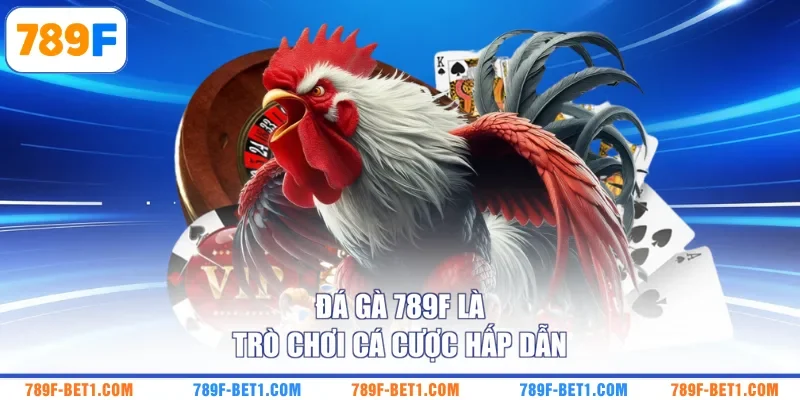 Đá gà 789F là trò chơi cá cược hấp dẫn 