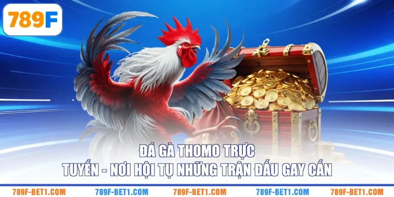 Đá Gà Thomo Trực Tuyến - Nơi Hội Tụ Những Trận Đấu Gay Cấn