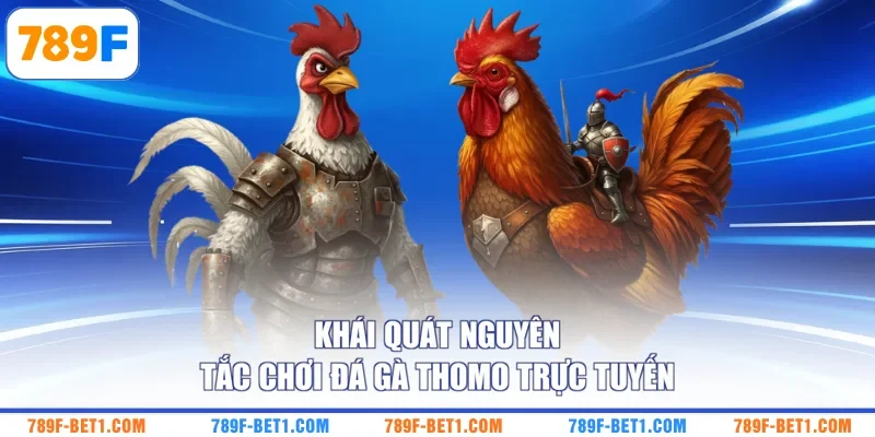 Khái quát nguyên tắc chơi đá gà Thomo trực tuyến
